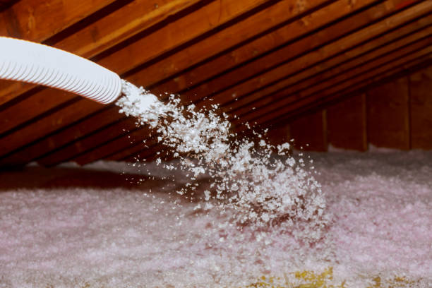 Best DIY Insulation Kits and Guidance in Crenshaw, MS