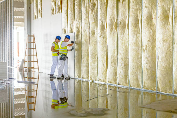 Best Insulation for Specific Applications in Crenshaw, MS